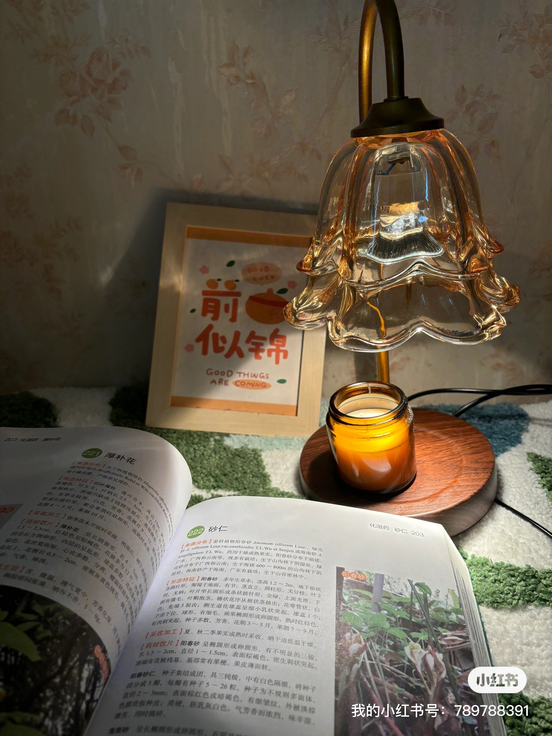 对话里的「气口」：用停顿代替解释性旁白